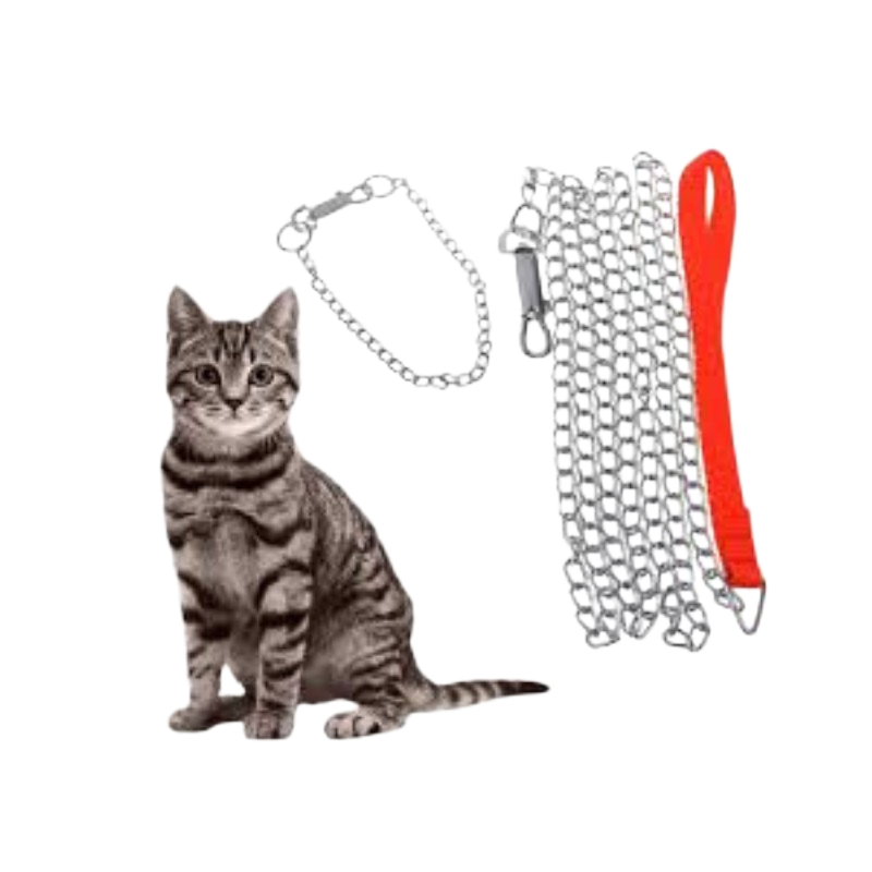 Pet Accessories : Chocker Chain (Small)