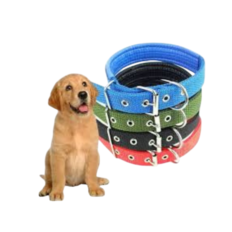 Pet Accessories : Dog Normal Collar (S)