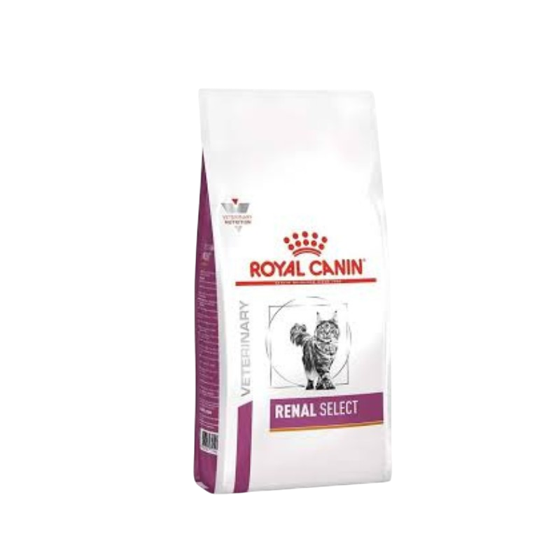Royal Canin: Cat Renal (400g)