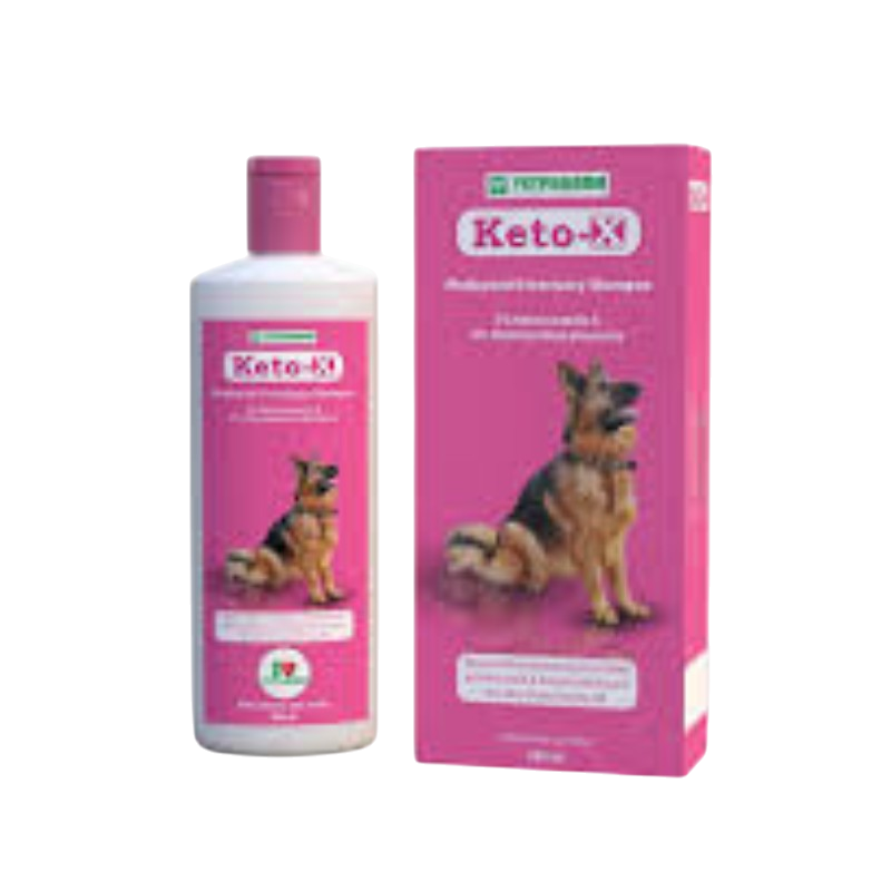 Keto-X (200 ml) Shampoo