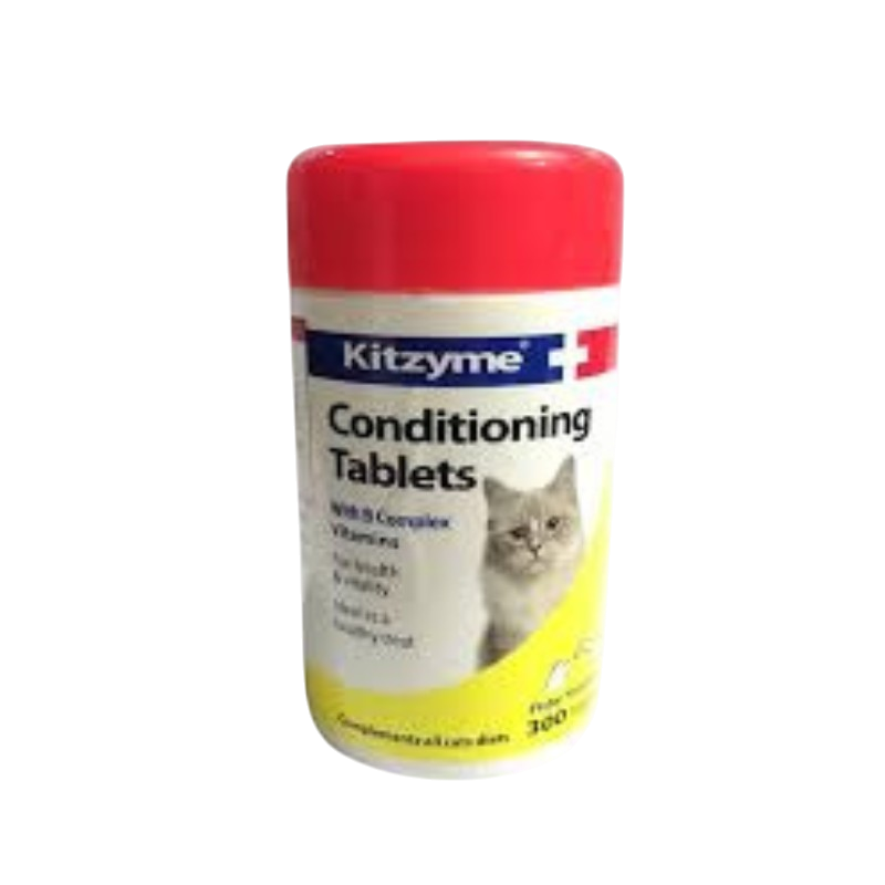 Kitzyme (300 Tabs)