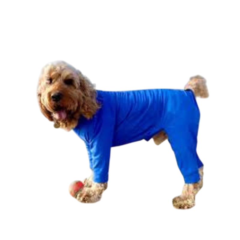 Booma Full Suit (2XL): Dog