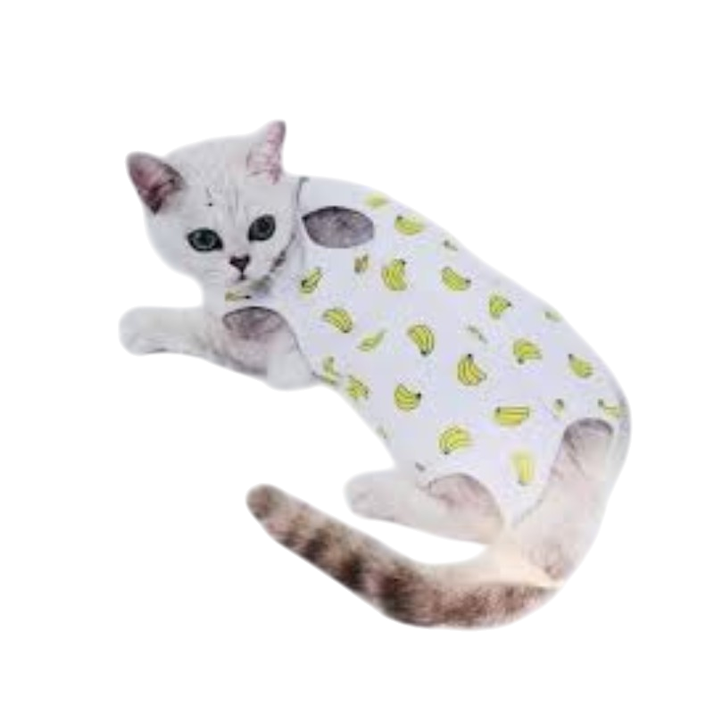 Panchi Full Suit (L): Cat