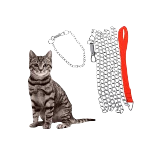 Pet Accessories : Chocker Chain (Small)