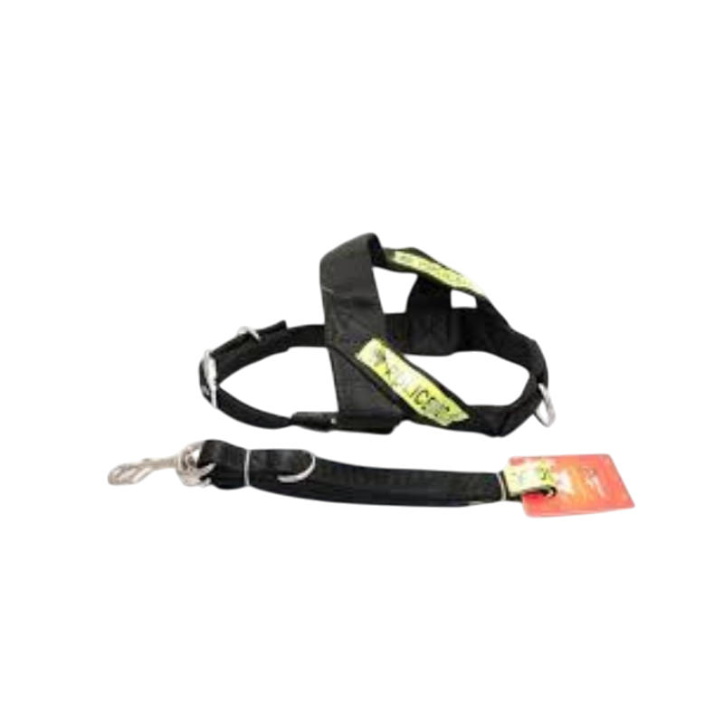 Pet Accessories : Design Harness Large