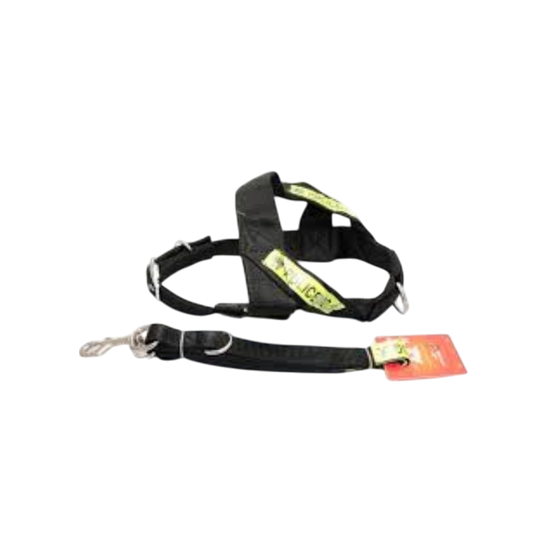 Pet Accessories : Design Harness Large