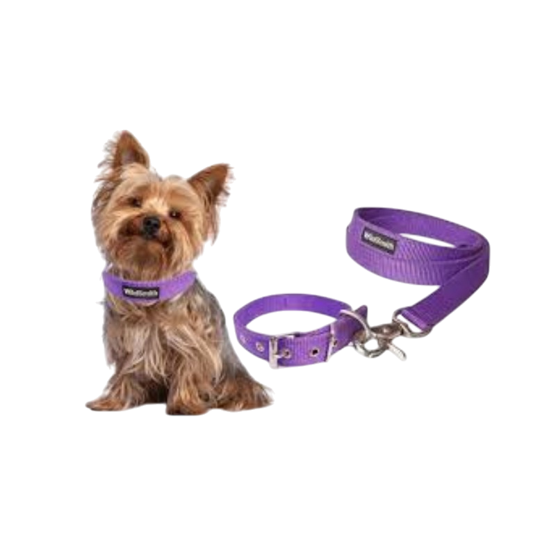 Pet Accessories : Dog Leash With Belt
