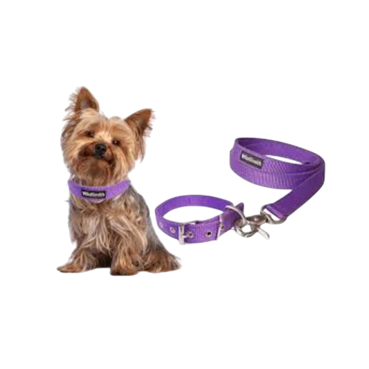 Pet Accessories : Dog Leash With Belt