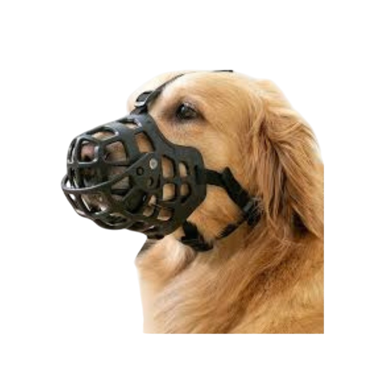 Pet Accessories : Dog Muzzle Medium