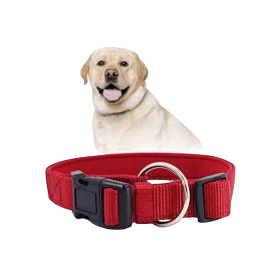Pet Accessories : Dog Normal Collar (M)