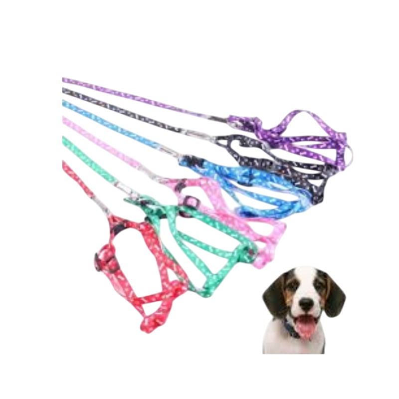 Pet Accessories : Harness Small