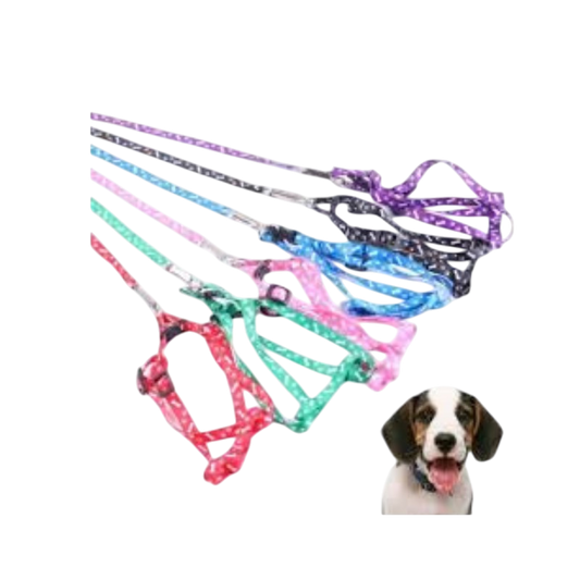 Pet Accessories : Harness Small
