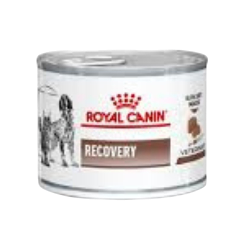 Royal Canin-Recovery (195g Tin)