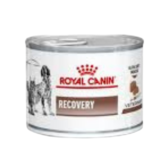 Royal Canin-Recovery (195g Tin)