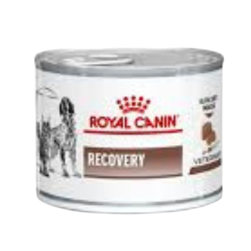 Royal Canin-Recovery Cat/Dog (195g) Tin