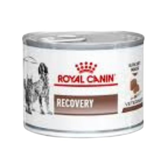 Royal Canin-Recovery Cat/Dog (195g) Tin