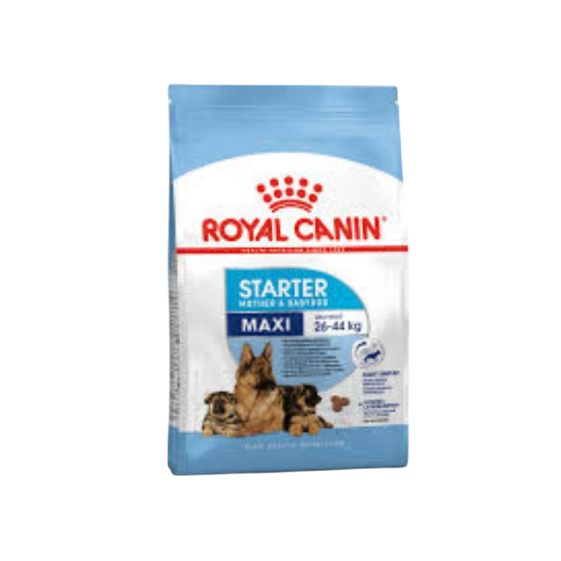 Royal Canin: Maxi Starter M&B (4kg)