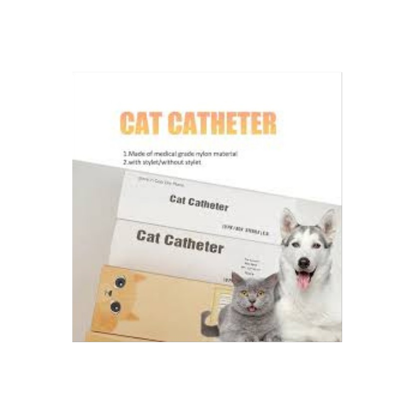 Tom Cat Catheter
