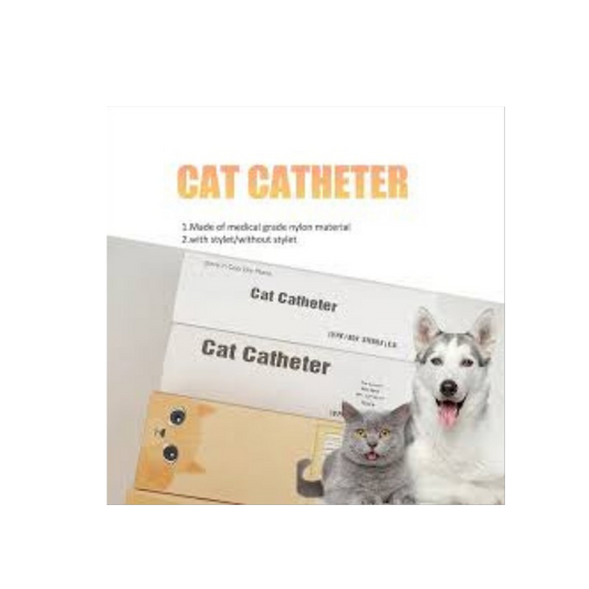 Tom Cat Catheter