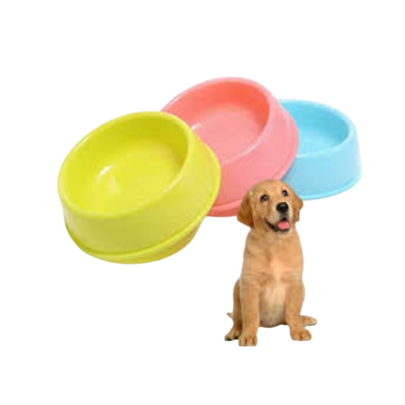 Design Plastic Feeding Bowl: Medium