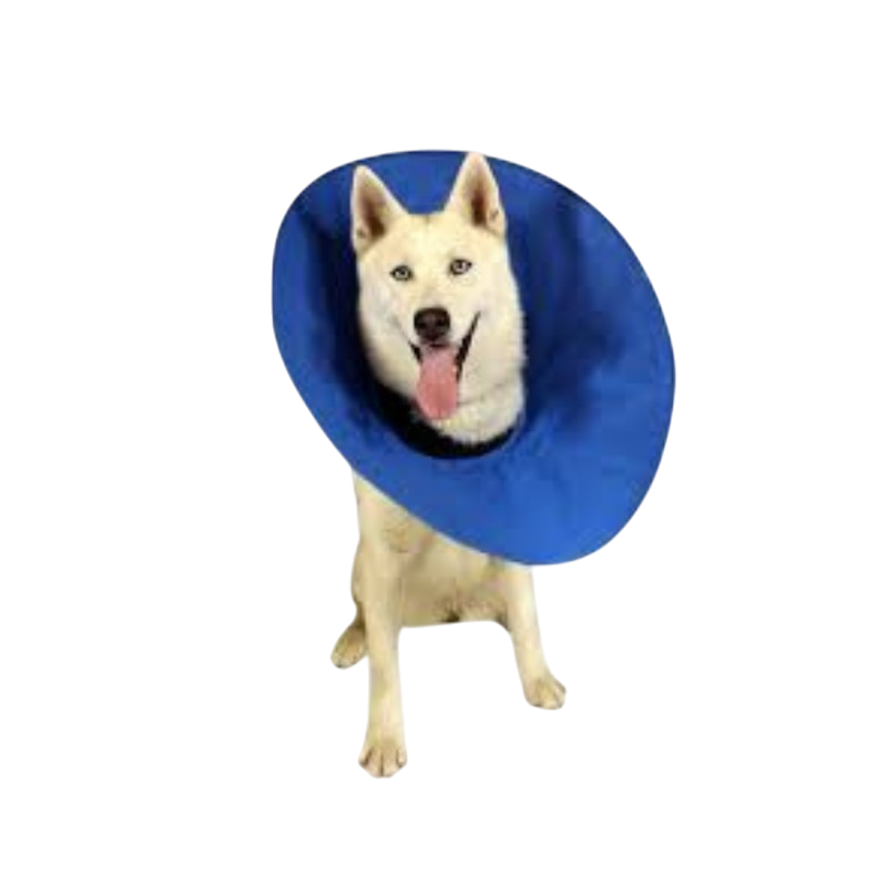 E-Collar: Cushioned (Cat/Kitten)