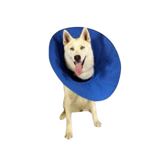 E-Collar: Cushioned (Cat/Kitten)