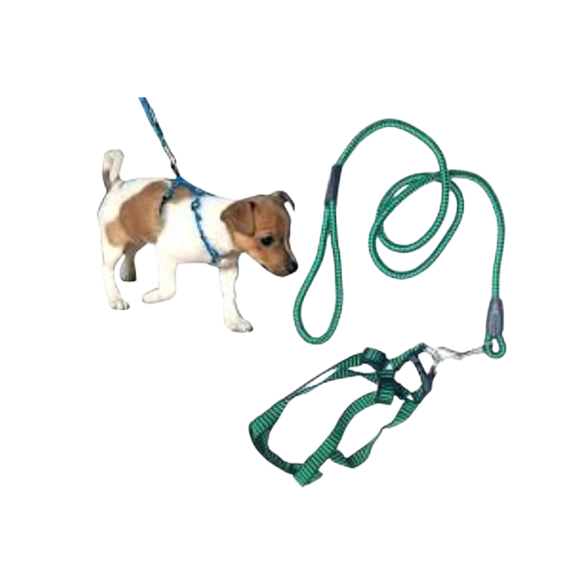 Harness: Small