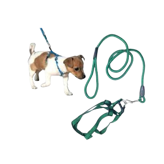 Harness: Small