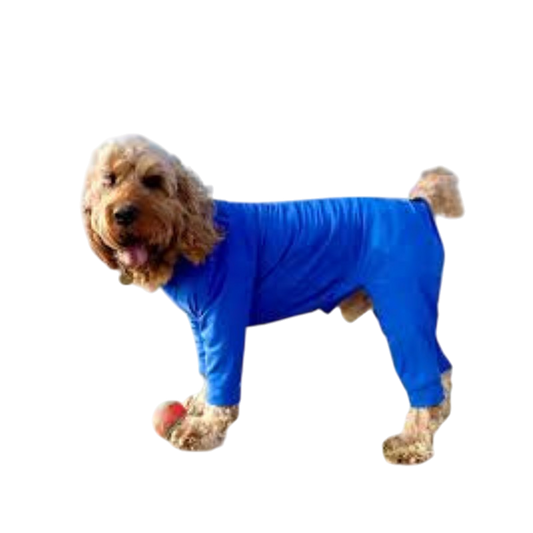 Booma Full Suit (2XL): Dog