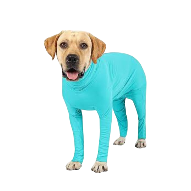 Booma Full Suit (5XL): Dog