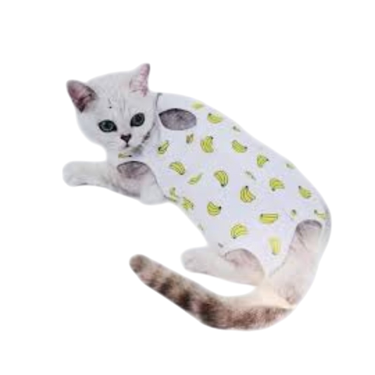 Panchi Full Suit (L): Cat