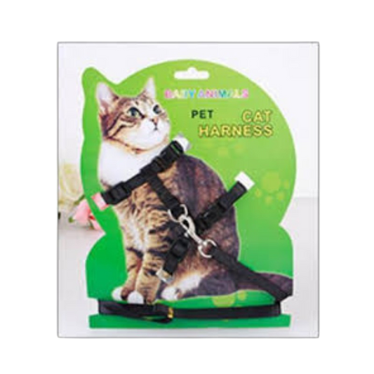 Panchi Full Suit (XL): Cat
