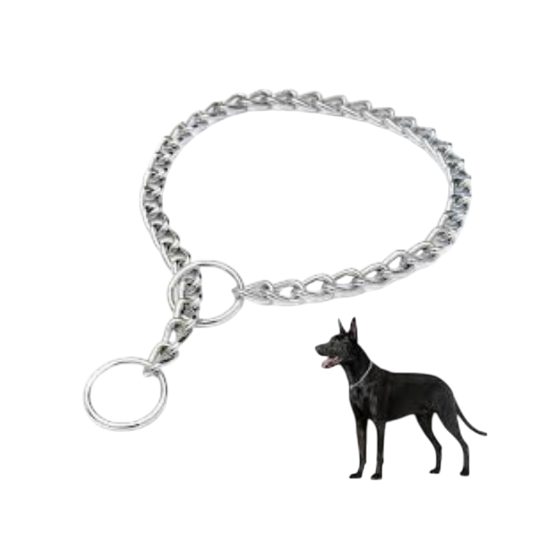 Pet Accessories : Chocker Chain (Medium)