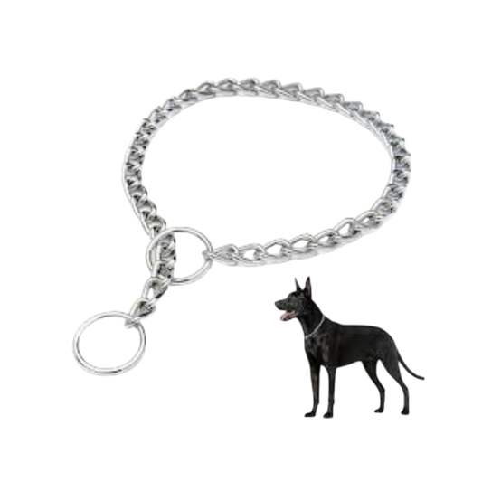 Pet Accessories : Chocker Chain (Medium)